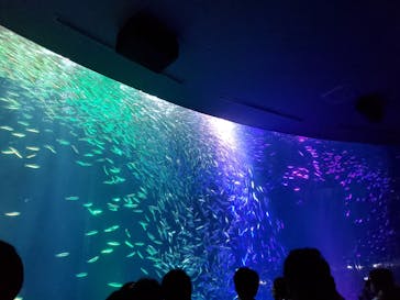 名古屋港水族館に投稿された画像（2021/8/14）