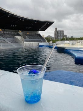 京都水族館に投稿された画像（2021/8/14）