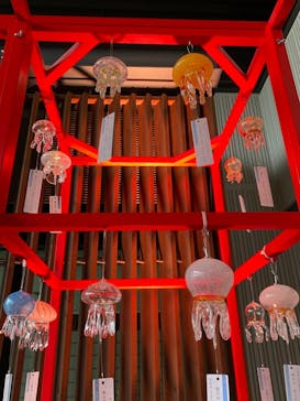 京都水族館に投稿された画像（2021/8/14）