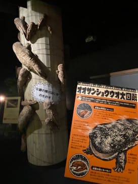 京都水族館に投稿された画像（2021/8/14）