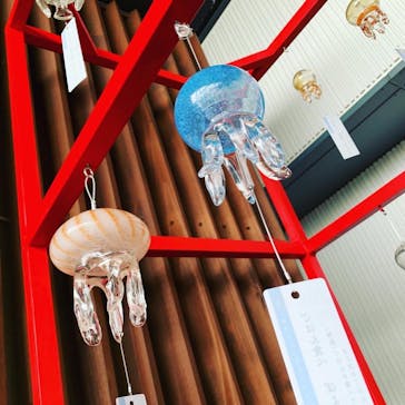 京都水族館に投稿された画像（2021/8/14）