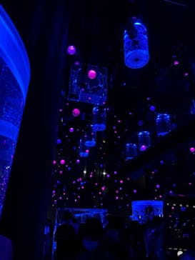 マクセル アクアパーク品川に投稿された画像（2021/8/14）