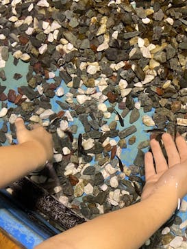 ゼロ距離水族館 伊勢シーパラダイスに投稿された画像（2021/8/14）