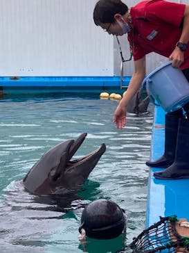 ゼロ距離水族館 伊勢シーパラダイスに投稿された画像（2021/8/14）