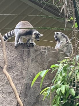 那須どうぶつ王国に投稿された画像（2021/8/14）