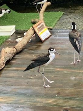 那須どうぶつ王国に投稿された画像（2021/8/14）