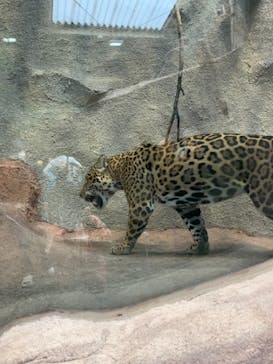 那須どうぶつ王国に投稿された画像（2021/8/14）