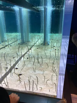 すみだ水族館に投稿された画像（2021/8/14）