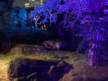 天王寺動物園に投稿された画像（2021/8/14）