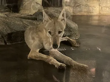 天王寺動物園に投稿された画像（2021/8/14）