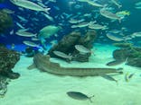 サンシャイン水族館に投稿された画像（2021/8/14）