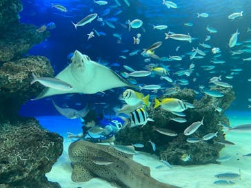 サンシャイン水族館に投稿された画像（2021/8/14）
