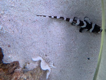 マクセル アクアパーク品川に投稿された画像（2021/8/14）