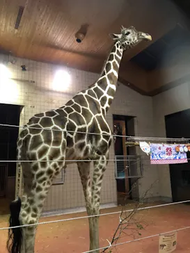 天王寺動物園に投稿された画像（2021/8/14）