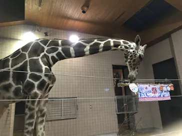 天王寺動物園に投稿された画像（2021/8/14）