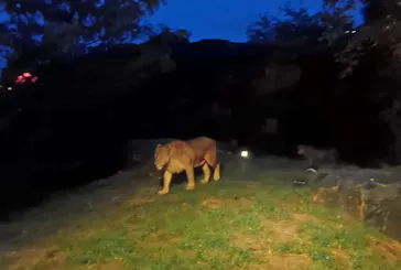 天王寺動物園に投稿された画像（2021/8/14）