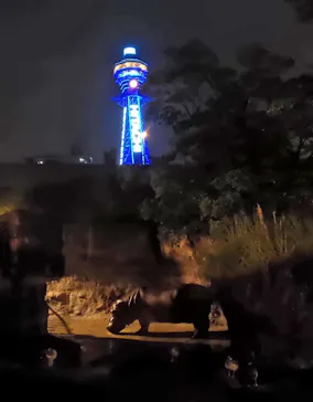 天王寺動物園に投稿された画像（2021/8/14）