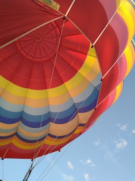 ウイニングバルーンクラブに投稿された画像（2021/8/14）