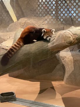 ネオパークオキナワに投稿された画像（2021/8/14）