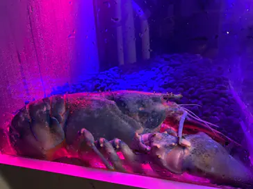 横浜・八景島シーパラダイスに投稿された画像（2021/8/14）