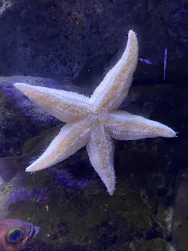 横浜・八景島シーパラダイスに投稿された画像（2021/8/14）