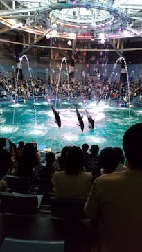 マクセル アクアパーク品川に投稿された画像（2021/8/14）