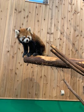 伊豆シャボテン動物公園に投稿された画像（2021/8/14）