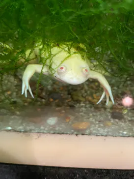天王寺動物園に投稿された画像（2021/8/14）
