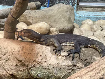 天王寺動物園に投稿された画像（2021/8/14）