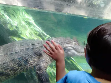 天王寺動物園に投稿された画像（2021/8/14）