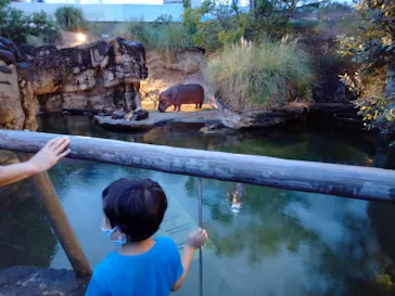 天王寺動物園に投稿された画像（2021/8/14）
