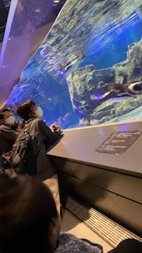 すみだ水族館に投稿された画像（2021/8/14）