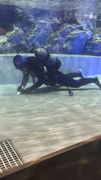 すみだ水族館に投稿された画像（2021/8/14）