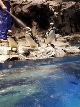 すみだ水族館に投稿された画像（2021/8/14）