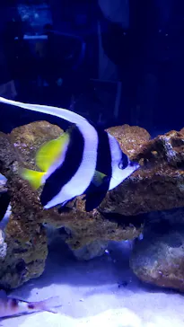 すみだ水族館に投稿された画像（2021/8/14）