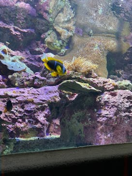 サンシャイン水族館に投稿された画像（2021/8/15）