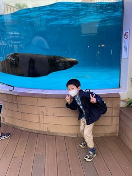 サンシャイン水族館に投稿された画像（2021/8/15）