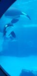 名古屋港水族館に投稿された画像（2021/8/15）