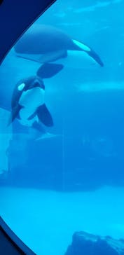 名古屋港水族館に投稿された画像（2021/8/15）