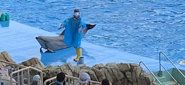 名古屋港水族館に投稿された画像（2021/8/15）