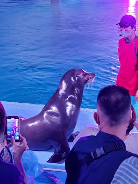 南知多ビーチランド＆南知多おもちゃ王国に投稿された画像（2021/8/15）