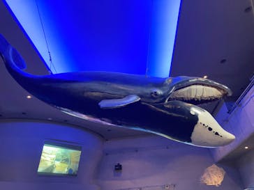 鳥羽水族館に投稿された画像（2021/8/15）