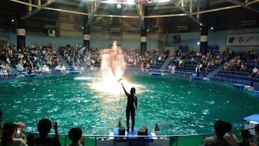 マクセル アクアパーク品川に投稿された画像（2021/8/15）