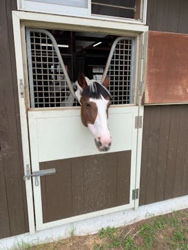 ノーザンホースパークに投稿された画像（2021/8/15）