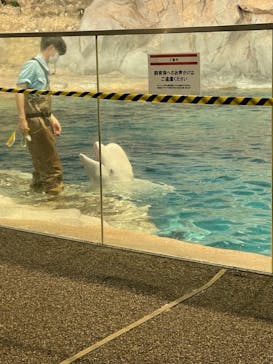 名古屋港水族館に投稿された画像（2021/8/15）