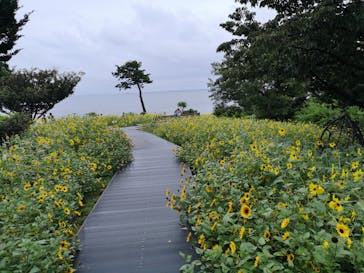 ニューヨークランプミュージアム＆フラワーガーデンに投稿された画像（2021/8/15）