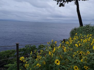 ニューヨークランプミュージアム＆フラワーガーデンに投稿された画像（2021/8/15）