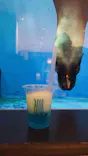 仙台うみの杜水族館に投稿された画像（2021/8/15）