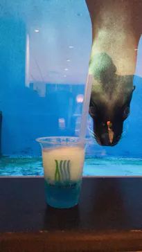 仙台うみの杜水族館に投稿された画像（2021/8/15）