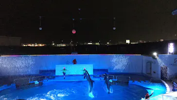 仙台うみの杜水族館に投稿された画像（2021/8/15）